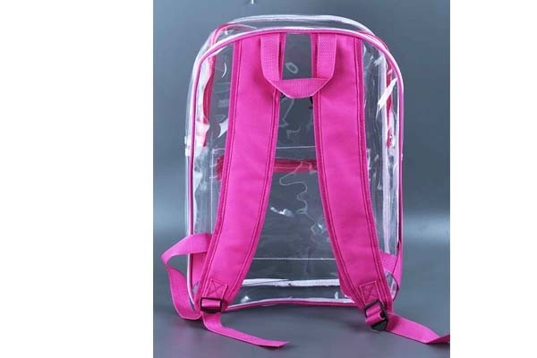 Clear backpack