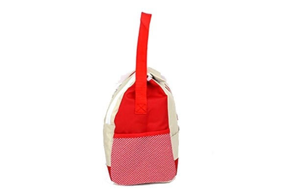 12 CAN Lunch Bag & Cooler bag