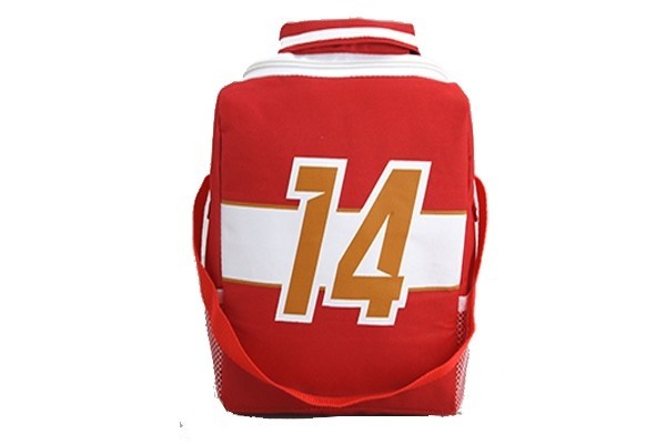6 CAN Lunch Bag & Cooler bag