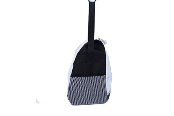 12 CAN Lunch Bag & Cooler bag
