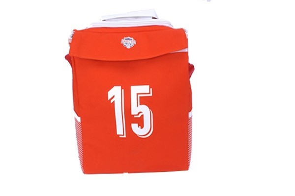 12 CAN Lunch Bag & Cooler bag