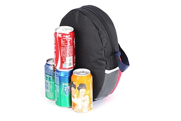 6 CAN Lunch & Cooler bag